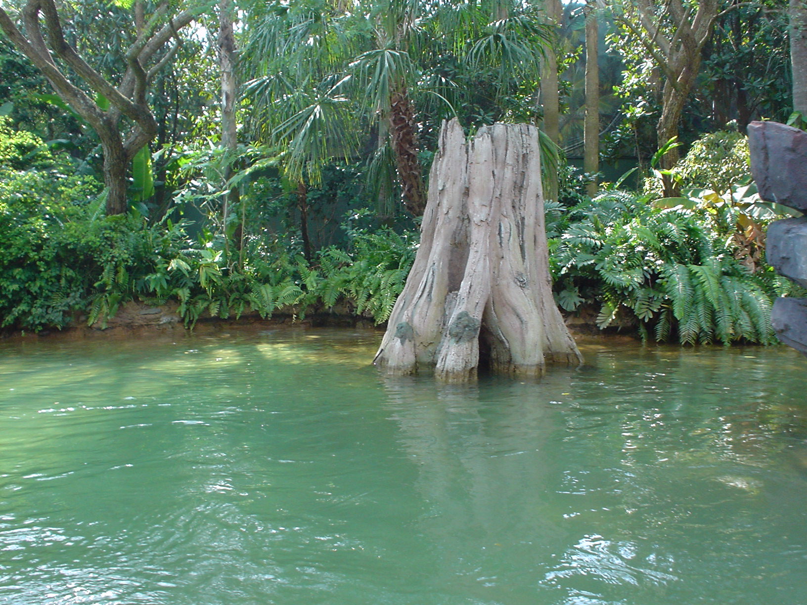 Island Of Adventure Orlando Florida Ricky Hanson Photo